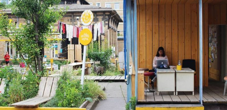 Urbanisme : Café, agriculture, fête… Les friches « sont des espaces mixtes qu’on trouve difficilement ailleurs »
