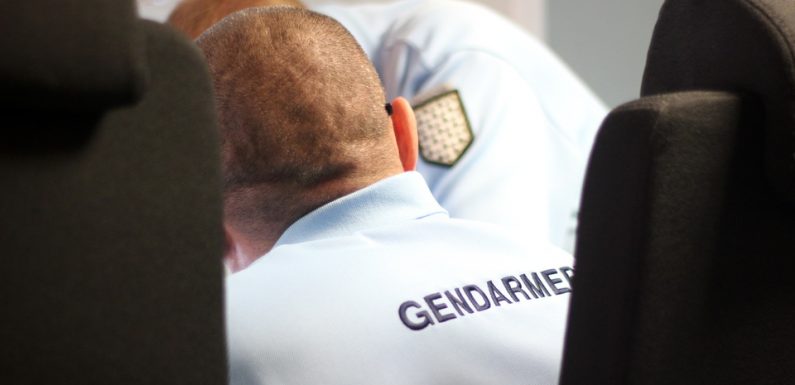 La gendarmerie neutralise un « botnet » de plusieurs centaines de milliers de machines