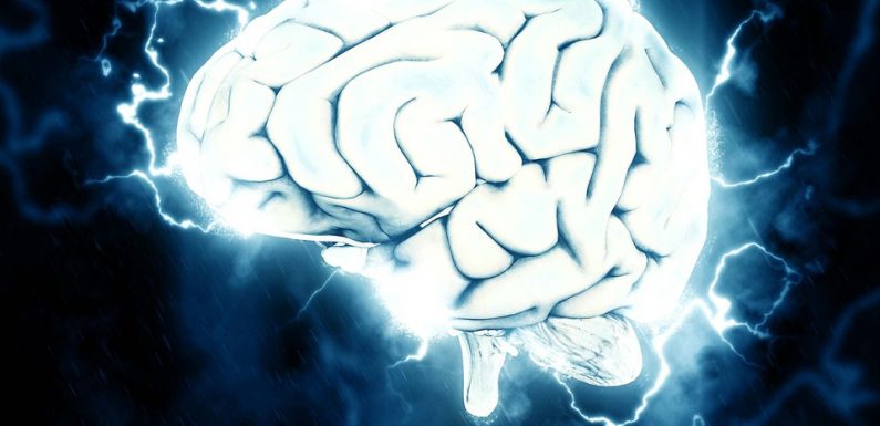 Pour la première fois, des mini-cerveaux créés en laboratoire dévoilent une activité électrique proche de celle des humains