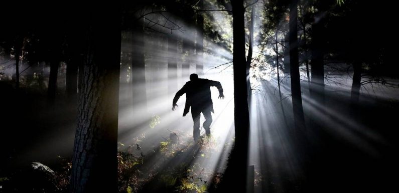 PODCAST. «Mystères d’ici»: «Le vampire fétichiste» du Muy