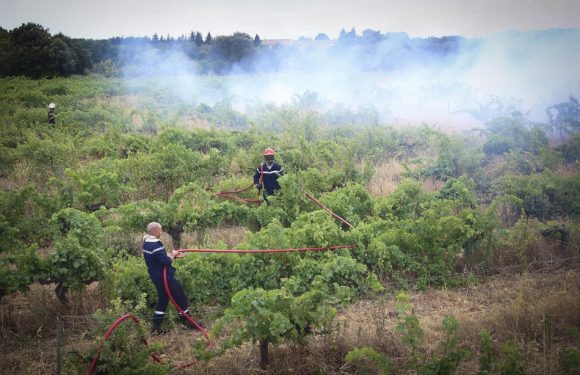 Incendie dans le Gard: La piste criminelle privilégiée par les enquêteurs