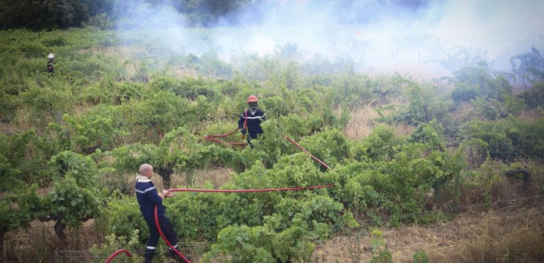 Incendie dans le Gard: La piste criminelle privilégiée par les enquêteurs