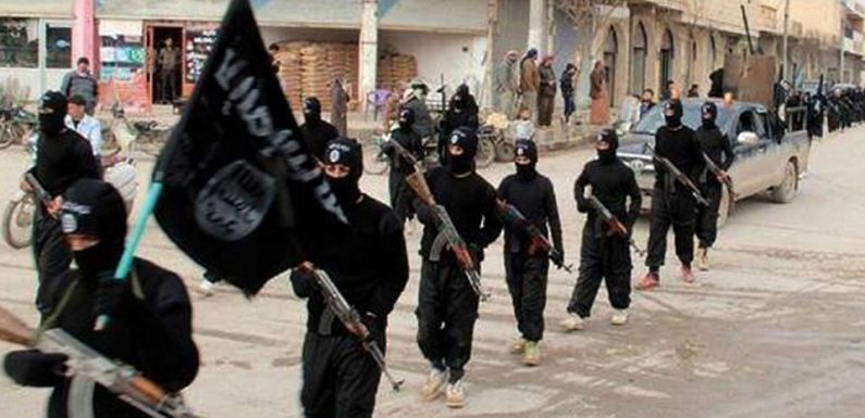 Syrie: Le Pentagone constate une «résurgence» de Daesh