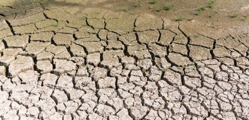 Canicule de juillet: 1,5° à 3°C plus chaud à cause du réchauffement climatique