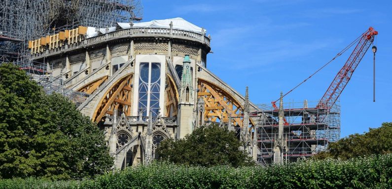 Plomb autour de Notre-Dame : De nouvelles analyses dans cinq écoles du diocèse demandées par l’ARS
