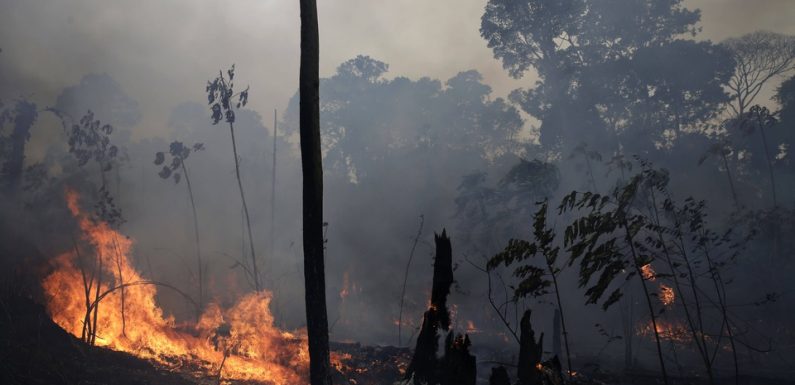 Incendies en Amazonie: Les feux progressent, le G7 débloque une aide d’urgence