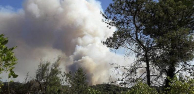 Pyrénées-Orientales: Un homme de 20 ans reconnaît être l’auteur de 12 départs de feu cet été