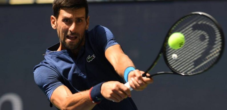 Coupe Davis : Novak Djokovic ira bien à Madrid pour inaugurer la nouvelle formule