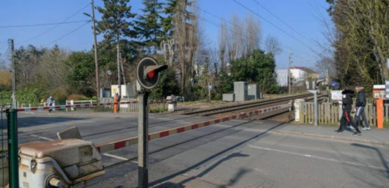 Il force le passage à niveau, est percuté par le train, fait un vol plané et… s’en sort indemne