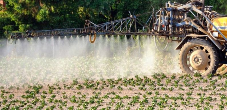 Les infos immanquables du jour : Arrêté anti-pesticides suspendu, Brésil confus et tendu, sexy muscu et Facebook chenu