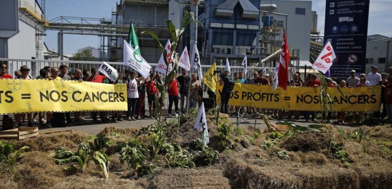 G7 à Biarritz : Plusieurs organisations altermondialistes bloquent l’usine Bayer-Monsanto dans les Landes