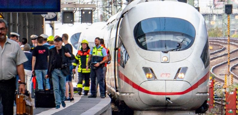 Attention à la fausse photo du petit garçon poussé sous un train en Allemagne
