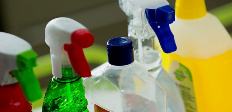 Produits ménagers : Comment choisir les plus sains pour la santé et l’environnement