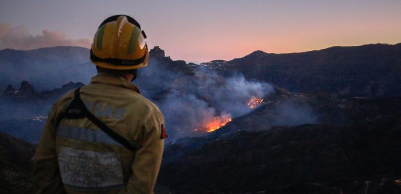 Canaries: L’incendie qui a ravagé plus de 10.000 hectares depuis samedi ralentit