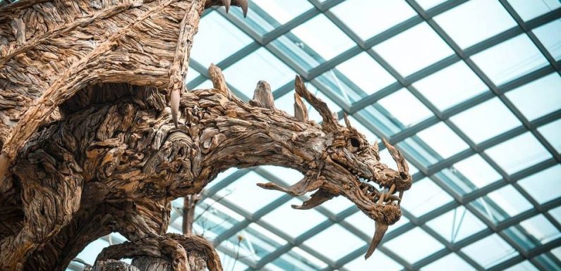 PODCAST. «Mystères d’ici»: Le dragon et le soldat condamné à mort de Niort