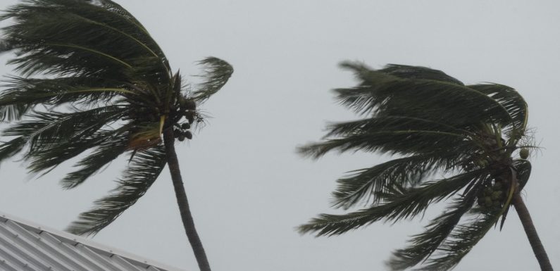 Antilles : Des inondations et 4.000 foyers privés d’électricité en Martinique après le passage de la tempête tropicale Dorian