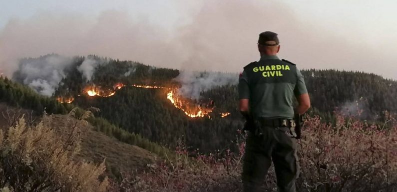 Espagne: Incendie circonscrit aux Canaries