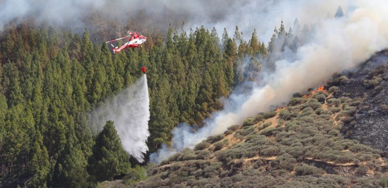 Espagne: Les îles Canaries touchées par un incendie
