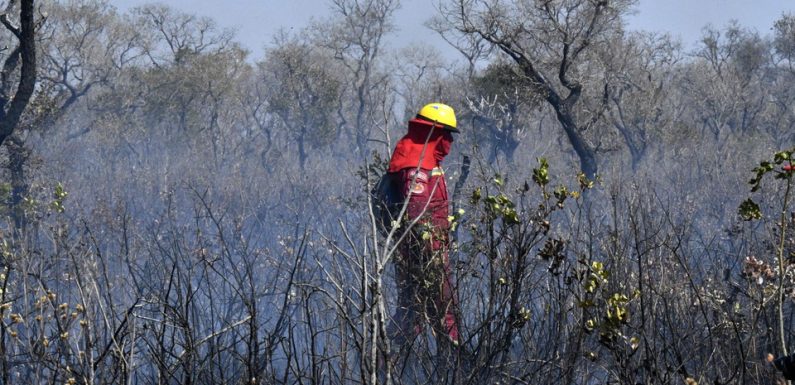 Incendies en Amazonie : Un premier « avion G7 » en action au Paraguay