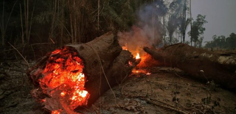 L’Amazonie en feu, un désastre aussi pour l’image du Brésil