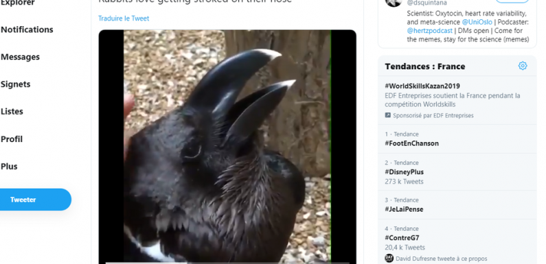 Lapin ou corbeau? Cette illusion d’optique enflamme les réseaux sociaux