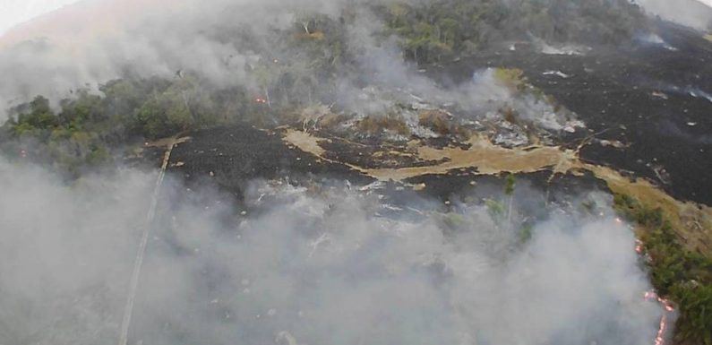 Incendie en Amazonie : Les feux sont-ils les seuls responsables de l’obscurité qui s’est abattue sur São Paulo ?