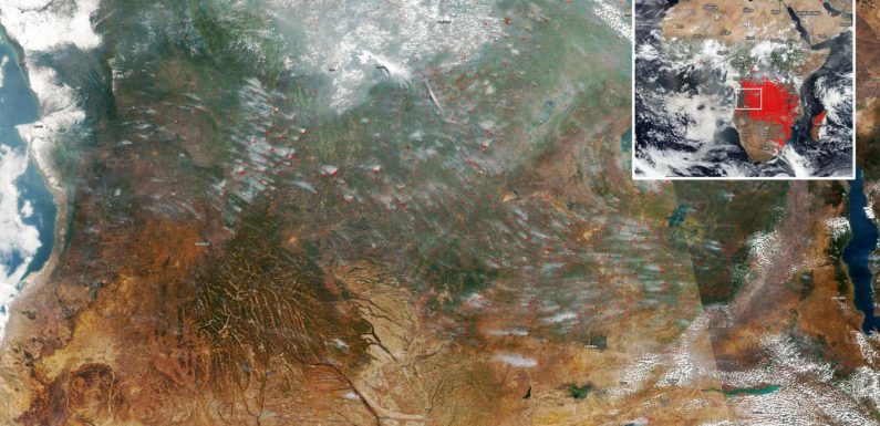 Pourquoi personne ne parle des incendies titanesques en Afrique subsaharienne