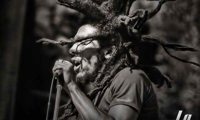 Reggae : Bob Marley, le plus grand (7)