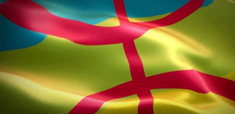Drapeau amazigh : c’est à la justice de trancher selon Gaid-Salah