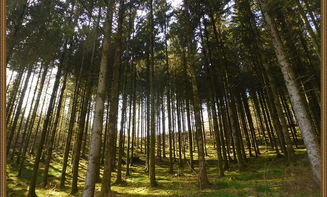 Le CO2, futur ennemi de la planète ?