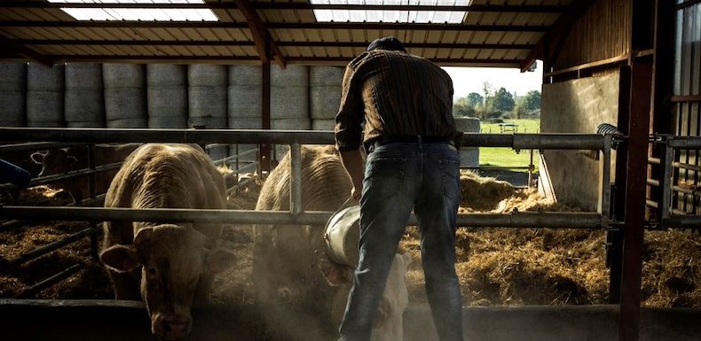 « Le boeuf américain va faire chuter les revenus de nos producteurs et détruira des emplois »