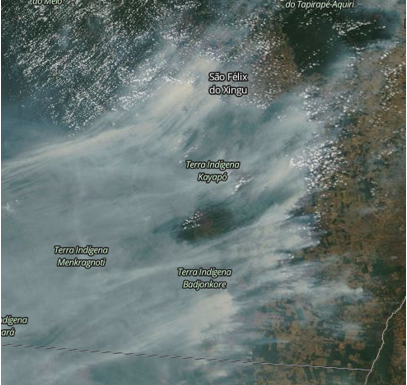 Pourquoi l’Amazonie flambe-t-elle ?