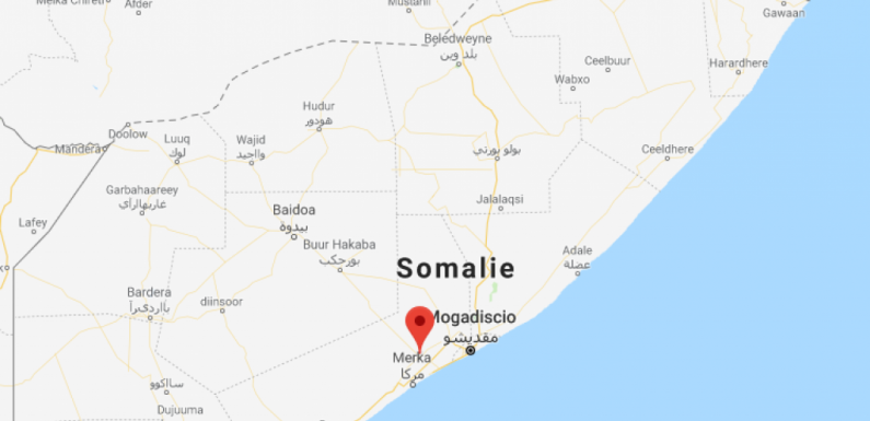 Somalie: Awdheegle, ville stratégique, libérée après 8 ans aux mains des shebabs