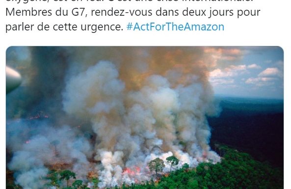 Une Amazonie bien commode pour la politique idiote de Macron