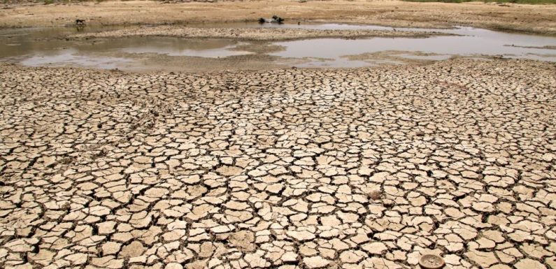 Un tiers des terres dans le monde menacé par la désertification