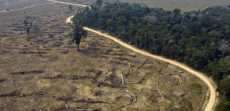 Au Brésil, ces groupes paramilitaires qui volent les terres