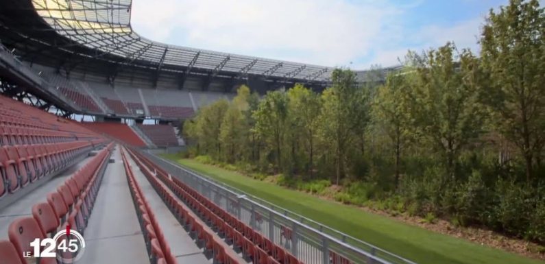 Un artiste suisse plante une forêt sur le gazon d’un stade autrichien