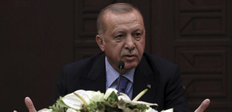 Erdogan envisage de réinstaller deux à trois millions de réfugiés en Syrie