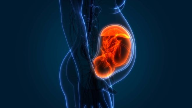 Soot pollution particles ‘cross the placenta’