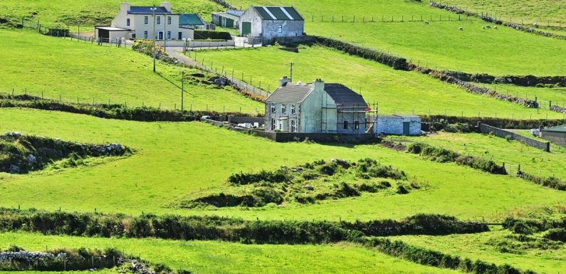 Irlande : un réseau de fermes pour les personnes en situation d’exclusion