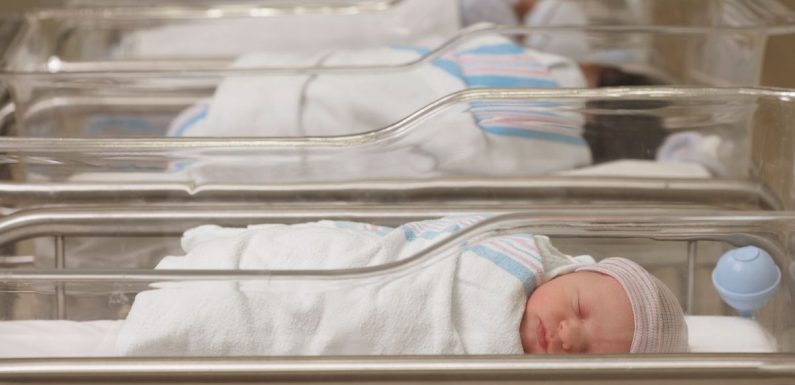 Savez-vous pourquoi le 23 septembre est le jour où il y a le plus de naissance dans l’année ?