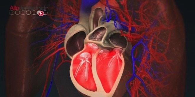 Cinq conseils pour prendre soin de son coeur