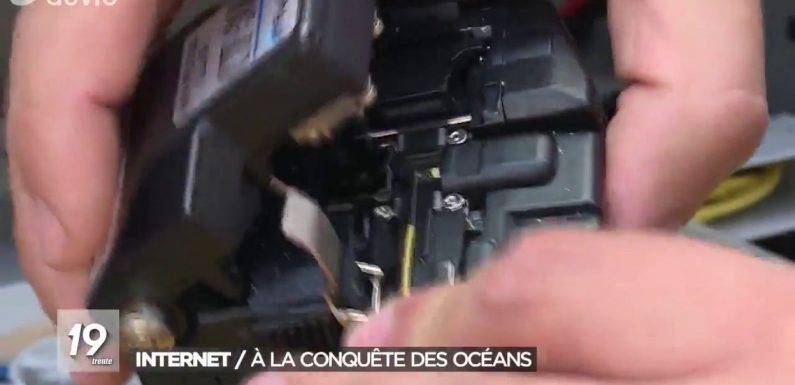 Google convoite les câbles sous-marins, là où transitent quasi toutes nos données internet