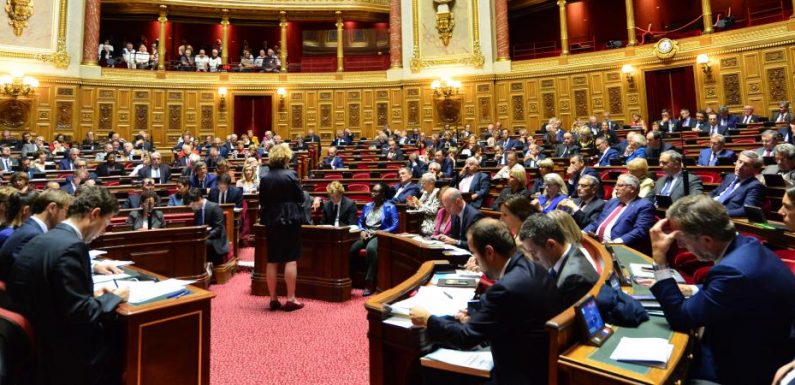 Loi anti-gaspillage : le Sénat donne son feu vert à un indice de « réparabilité » des équipements électriques et électroniques