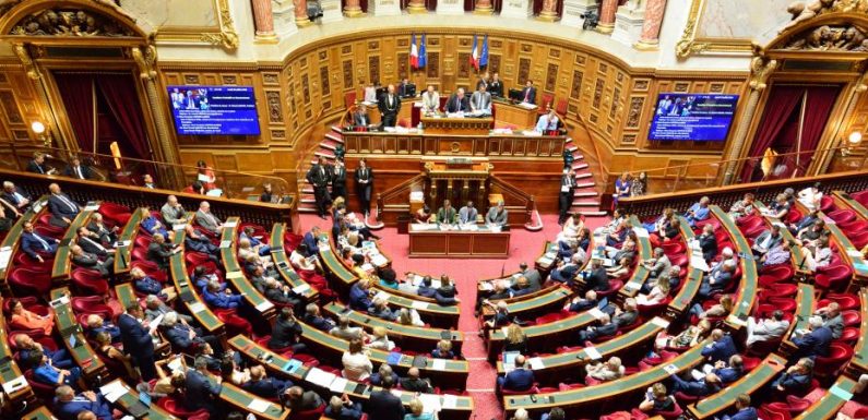Loi anti-gaspillage : le Sénat vote l’interdiction de destruction des invendus non-alimentaires