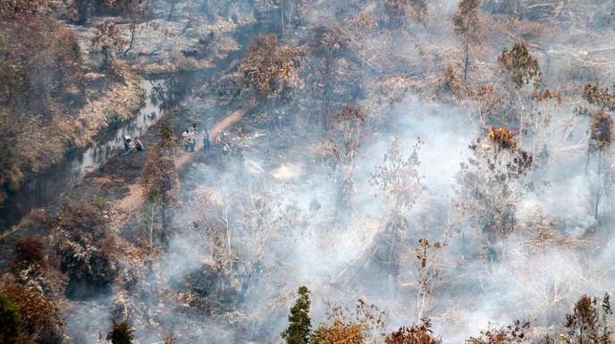 Face à la pollution de l’air, l’Indonésie et la Malaisie ferment des milliers d’écoles