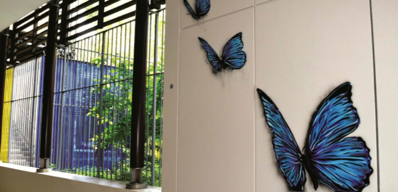Paris: l’artiste C215 peint des papillons dans des services de soins psychiatriques