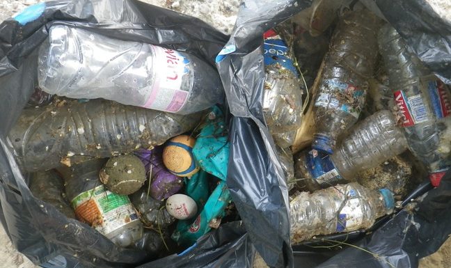 VIDEO. Toulouse : Grâce à leur système, ils récupèrent le plastique flottant charrié par la Garonne