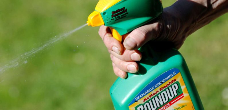 L’Allemagne va bannir le glyphosate en 2023, même si l’UE prolonge son autorisation
