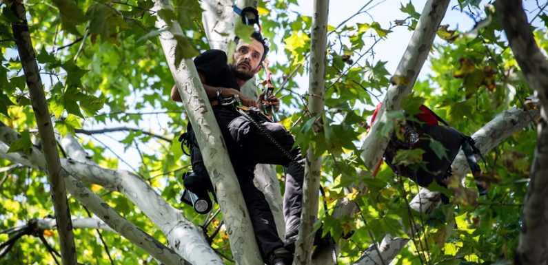 Perché dans un arbre face au Ministère de l’Écologie, Thomas Brail interpelle Elizabeth Borne